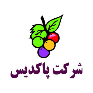 شرکت پاکدیس
